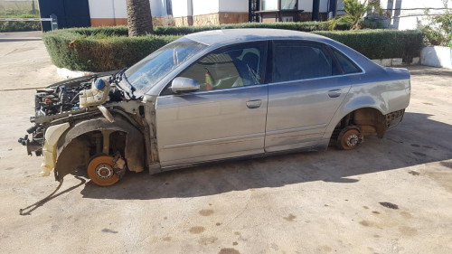  Audi A4 Berlina (8E)(2004->) SIN IDENTIFICAR 