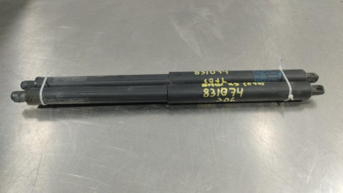  AMORTIGUADORES MALETERO / PORTON, BMW, SERIE X5 (E70) 