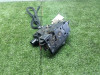 CERRADURA PUERTA DELANTERA DERECHA Volkswagen GOLF IV BERLINA (1J1)(10.1997) 