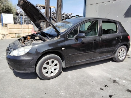  PEUGEOT 307 (S1)(04.2001) 