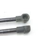  AMORTIGUADORES MALETERO / PORTON, NISSAN, NOTE (E11E) 