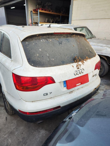 PORTON TRASERO de segunda mano