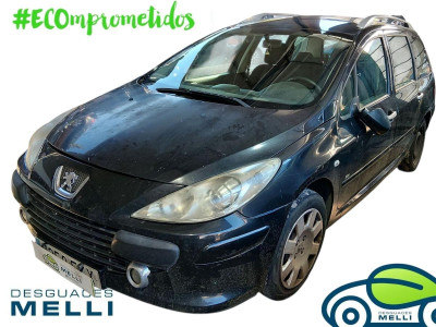 PEUGEOT 307 BREAK/ SW (S2)