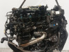  MOTOR COMPLETO FORD FOCUS BERLINA (CEW) 