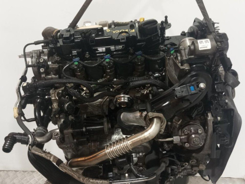  MOTOR COMPLETO FORD FOCUS BERLINA (CEW) 