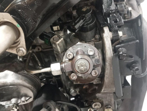  MOTOR COMPLETO FORD FOCUS BERLINA (CEW) 