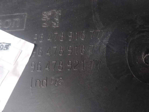GUARNECIDO PUERTA TRASERA IZQUIERDA Peugeot 407 