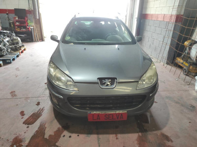PEUGEOT 407 SW
