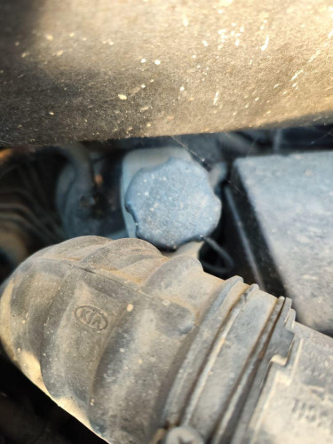  SERVOFRENO, KIA, CARENS (RS) 