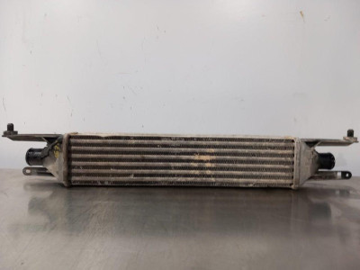 INTERCOOLER, FIAT, III EVO PUNTO (199)