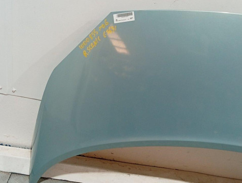  CAPO, RENAULT, SCENIC II (JM) 