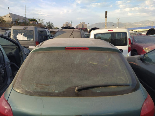  PORTON TRASERO Peugeot 206 