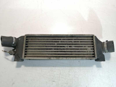 INTERCOOLER, FORD, TRANSIT COMBI (FY)