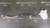 CERRADURA PUERTA DELANTERA DERECHA Citroen BERLINGO 