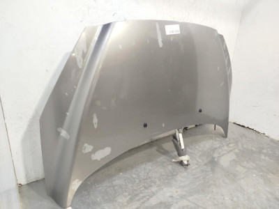 CAPO, Peugeot, 308