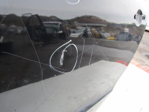  PUERTA TRASERA IZQUIERDA RENAULT SCENIC III (JZ) 
