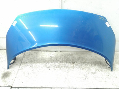 CAPO, RENAULT, SCENIC II (JM)
