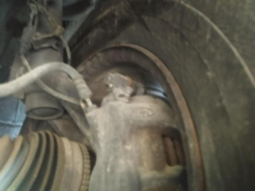MANGUETA DELANTERA IZQUIERDA Ford TRANSIT COMBI (TT9) 