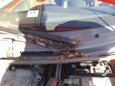 MOTOR LIMPIA DELANTERO