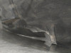  PASO RUEDA DELANTERO IZQUIERDO PEUGEOT 308 