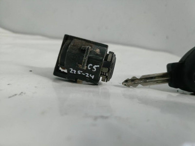 BOMBIN PUERTA DELANTERA IZQUIERDA, CITROEN, C5 BERLINA