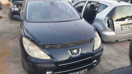  PEUGEOT 307 BREAK/ SW (S2) 