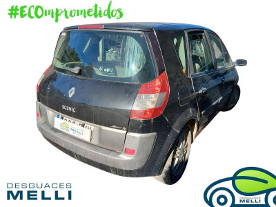 RENAULT SCENIC II (JM)