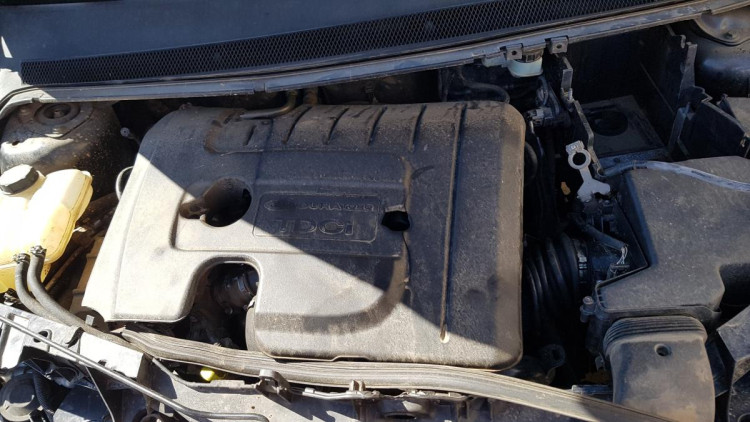 Ford Focus Berlina (CAP)(08.2004->) SIN IDENTIFICAR