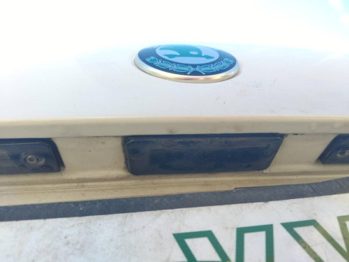 MANETA EXTERIOR PORTON Skoda Octavia Berlina (1Z3)(2008->) Skoda Octavia Berlina (1Z3)(2008->) 