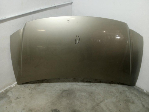 CAPO Chrysler VOYAGER (RG) 