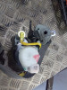  KIT AIRBAG SUZUKI JIMNY (SN/FJ) 