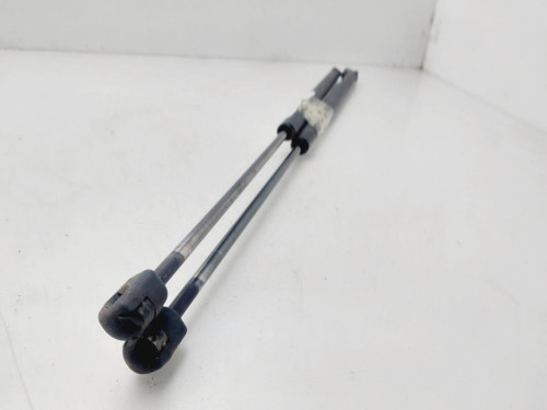 AMORTIGUADORES MALETERO / PORTON FORD C-MAX (CB3)(2007) 