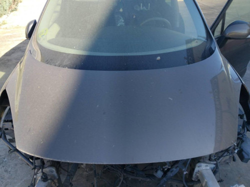 CAPO Renault Scenic III (JZ)(2009->) RENAULT Scenic III (JZ)(2009->) 