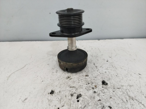 POLEA ALTERNADOR 