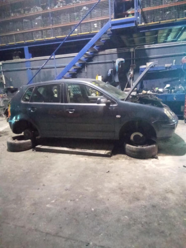  VOLKSWAGEN POLO IV (9N1) 