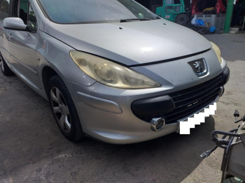  PEUGEOT 307 BREAK/ SW (S2) 