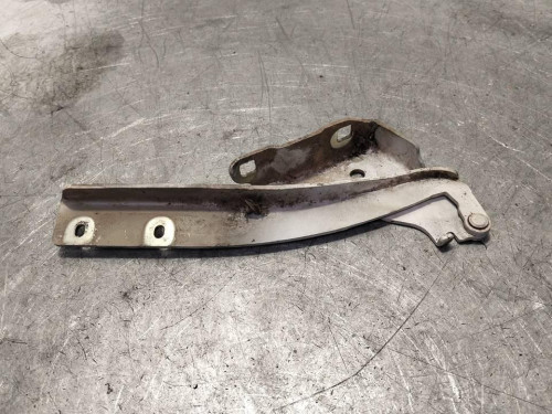 BISAGRA CAPO IZQUIERDA FIAT GRANDE PUNTO (199) 