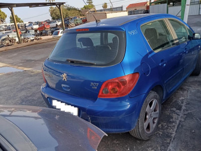 PEUGEOT 307 (S1)(04.2001)