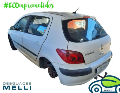 PEUGEOT 307 (S1)(04.2001)