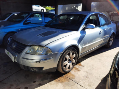 VOLKSWAGEN PASSAT BERLINA (3B3)