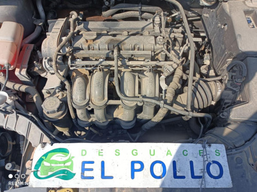  MOTOR COMPLETO, FORD, FOCUS BERLINA (CB8) 
