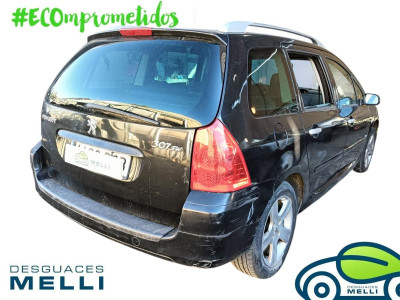 PEUGEOT 307 BREAK / SW (S1)(04.2002)