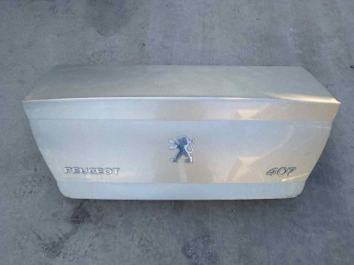 PORTON TRASERO, Peugeot, 407