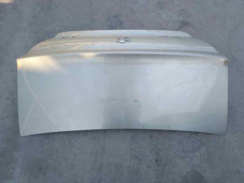 PORTON TRASERO Peugeot 407 