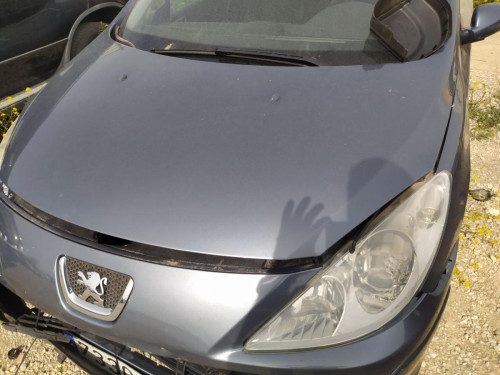  CAPO PEUGEOT 307 BREAK/ SW (S2) 