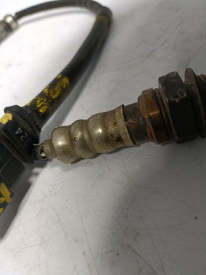 SONDA LAMBDA, SEAT, IBIZA (6L1)