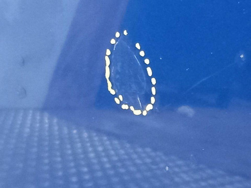  CAPO, RENAULT, SCENIC III (JZ) 