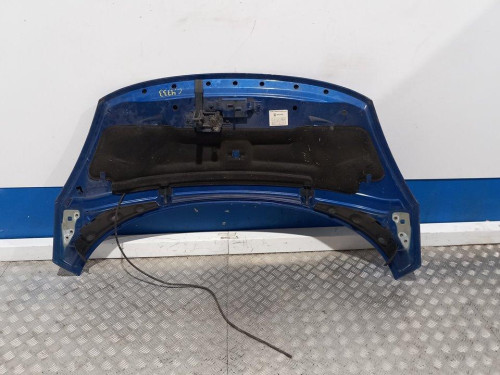  CAPO, RENAULT, SCENIC III (JZ) 