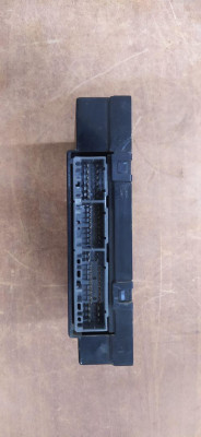 MODULO ELECTRONICO, LAND ROVER, FREELANDER (LN)(01.1998)
