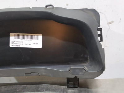 CUADRO INSTRUMENTOS, DS, 7 CROSSBACK